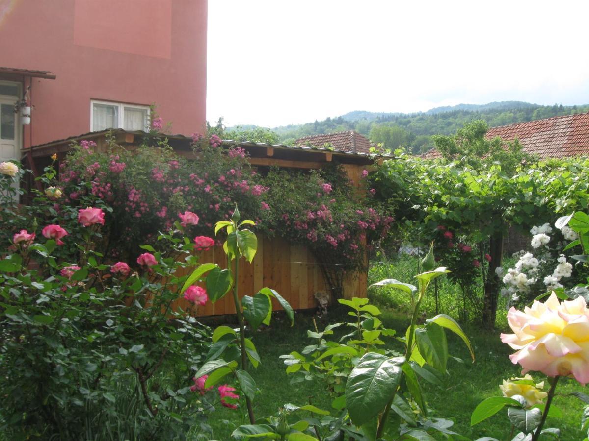 Hotel Casa Fabrizio Călimăneşti Exterior foto
